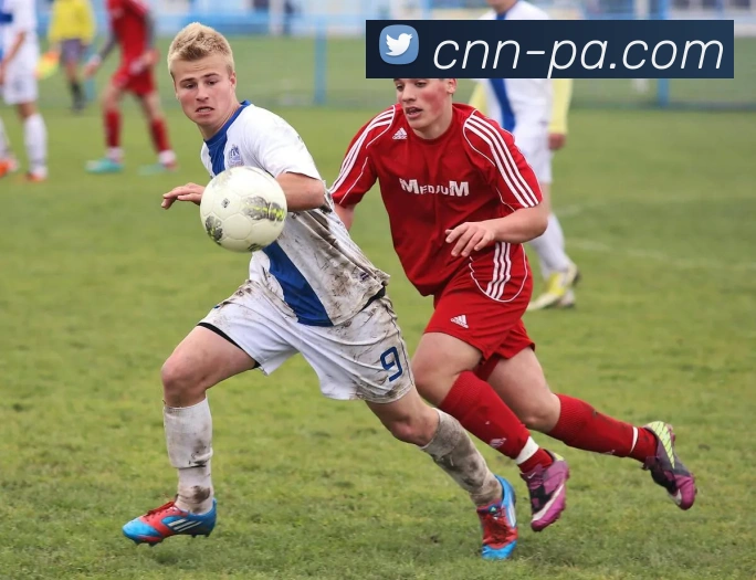 PA真人官网发展历程